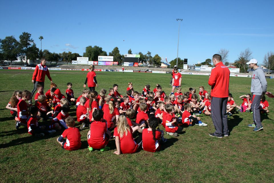 The Official North Adelaide Football Club Website The Roosters